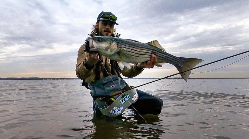 Striped Bass 101 – The Basics
