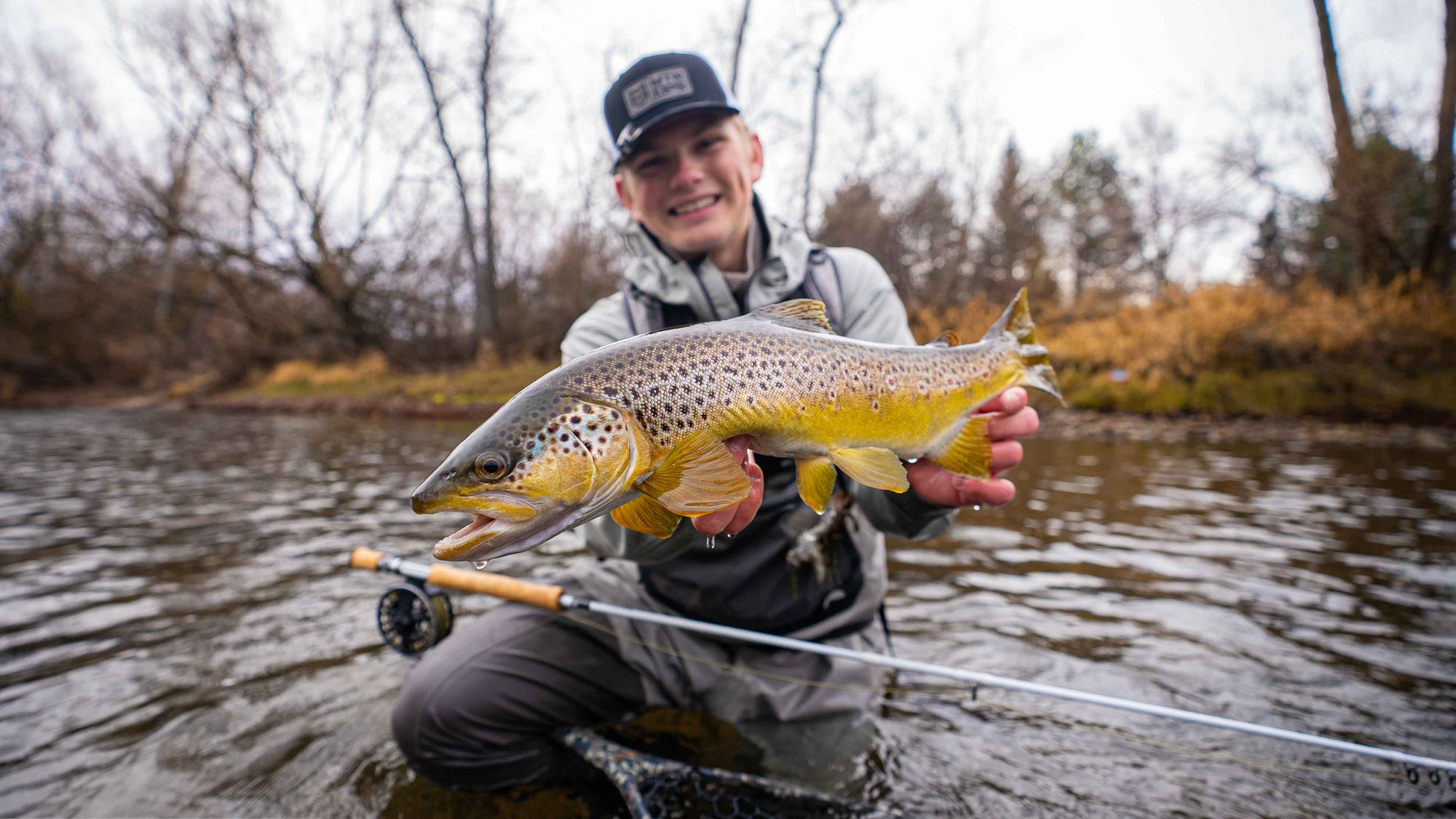 Streamers in the Winter