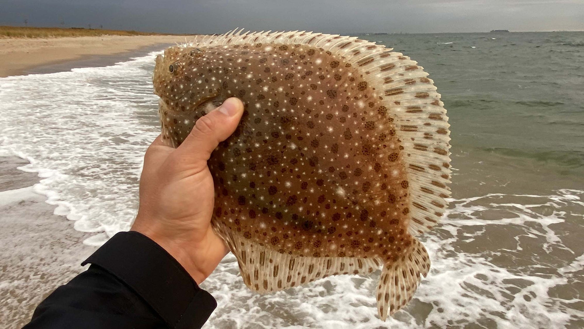 A Fish Story: An October Morning on the Jersey Shore
