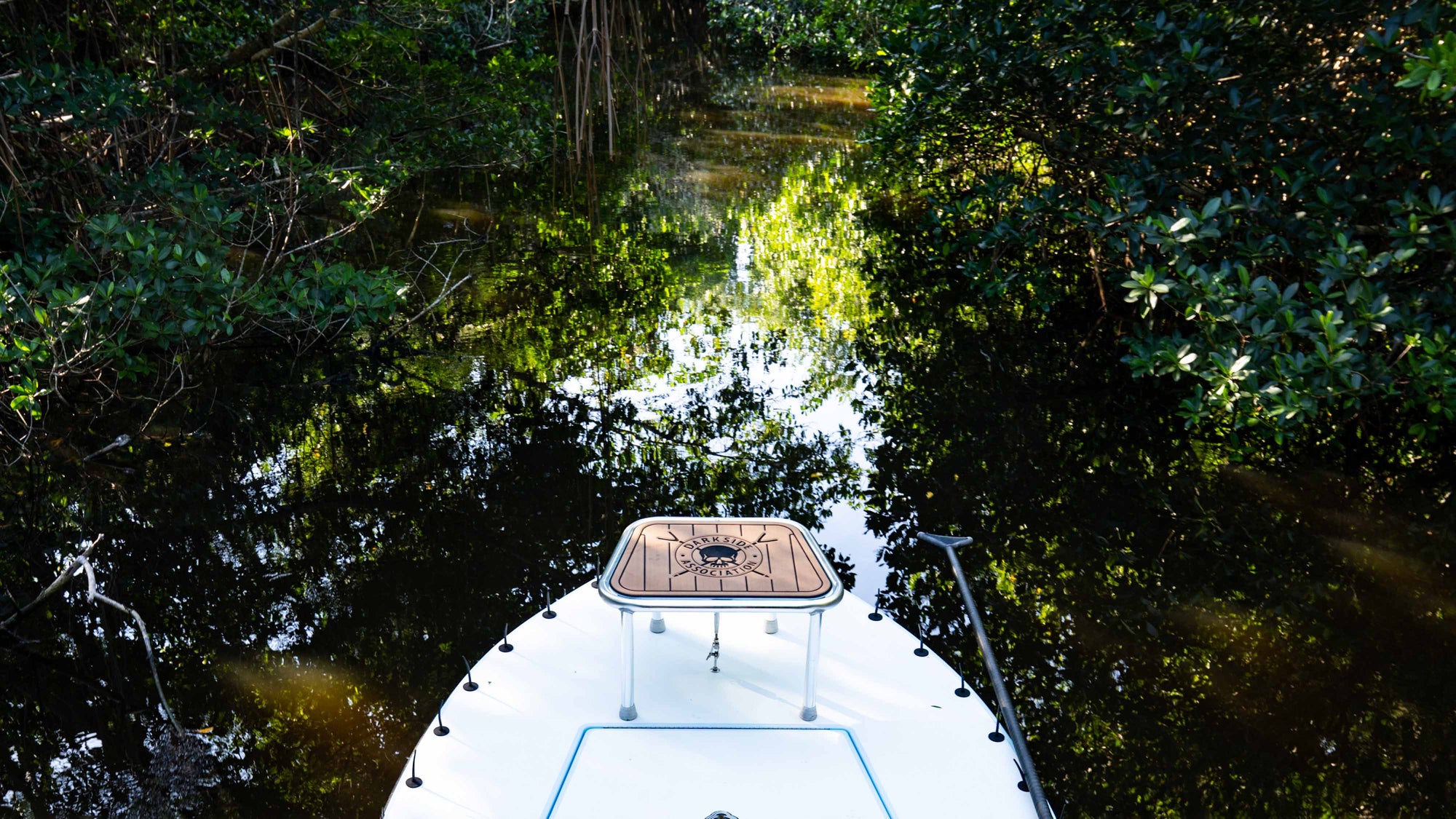 A Fish Story: A Place Beyond the Groves