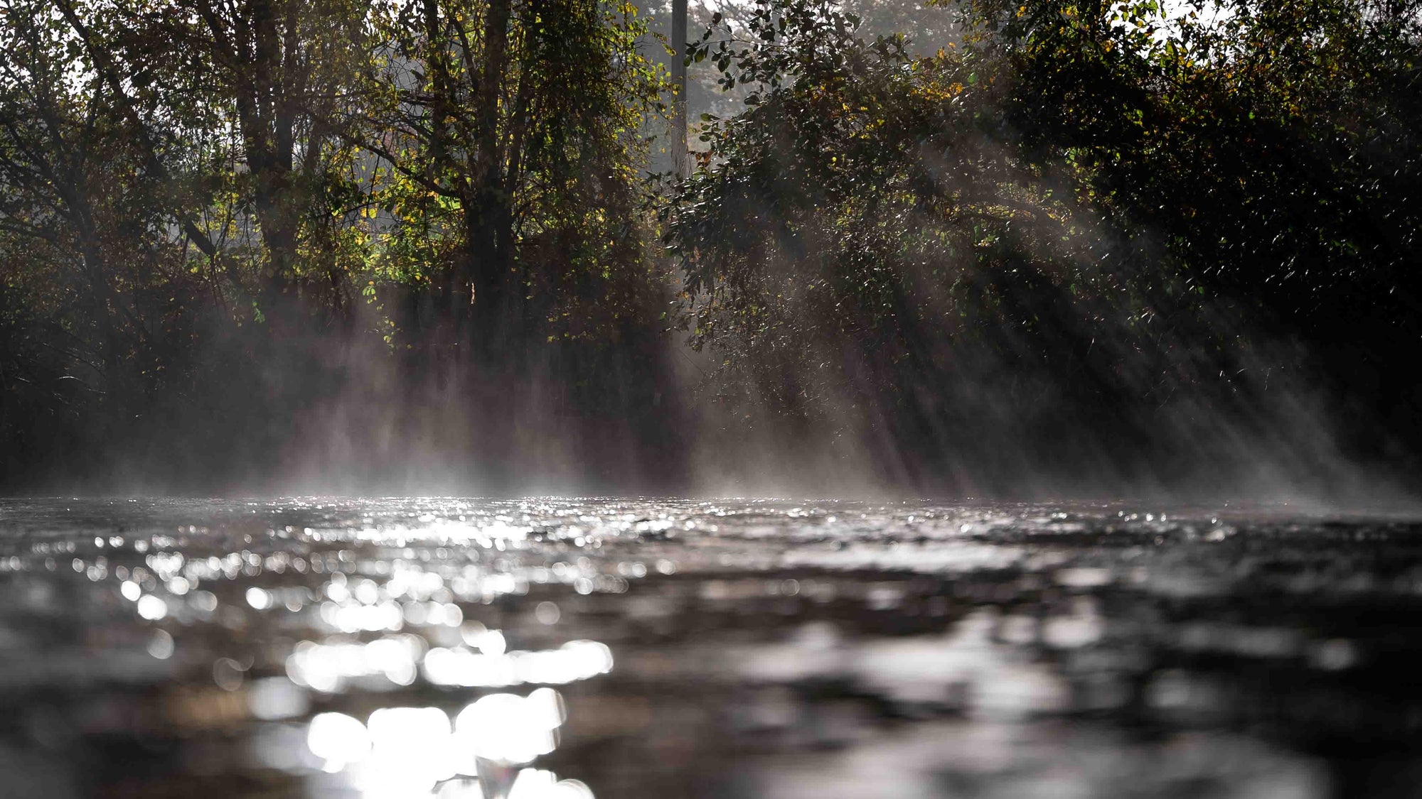 Through The Guide Lens: Spring Trout