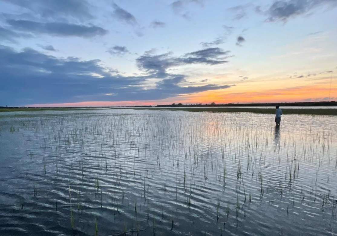 A Fish Story: Early Season Tailers