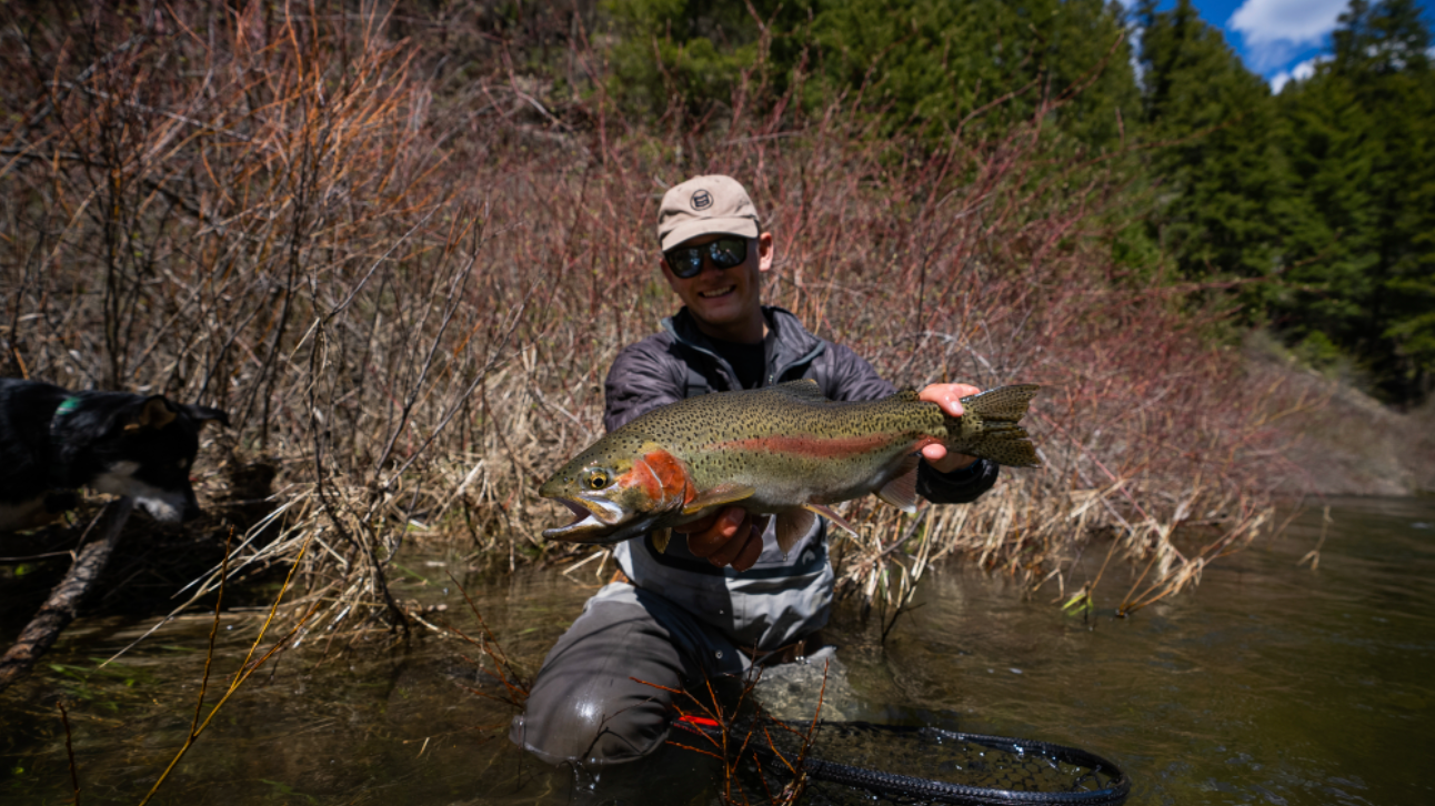 A Fish Story: It's Dry Dropper Season Baby!!!