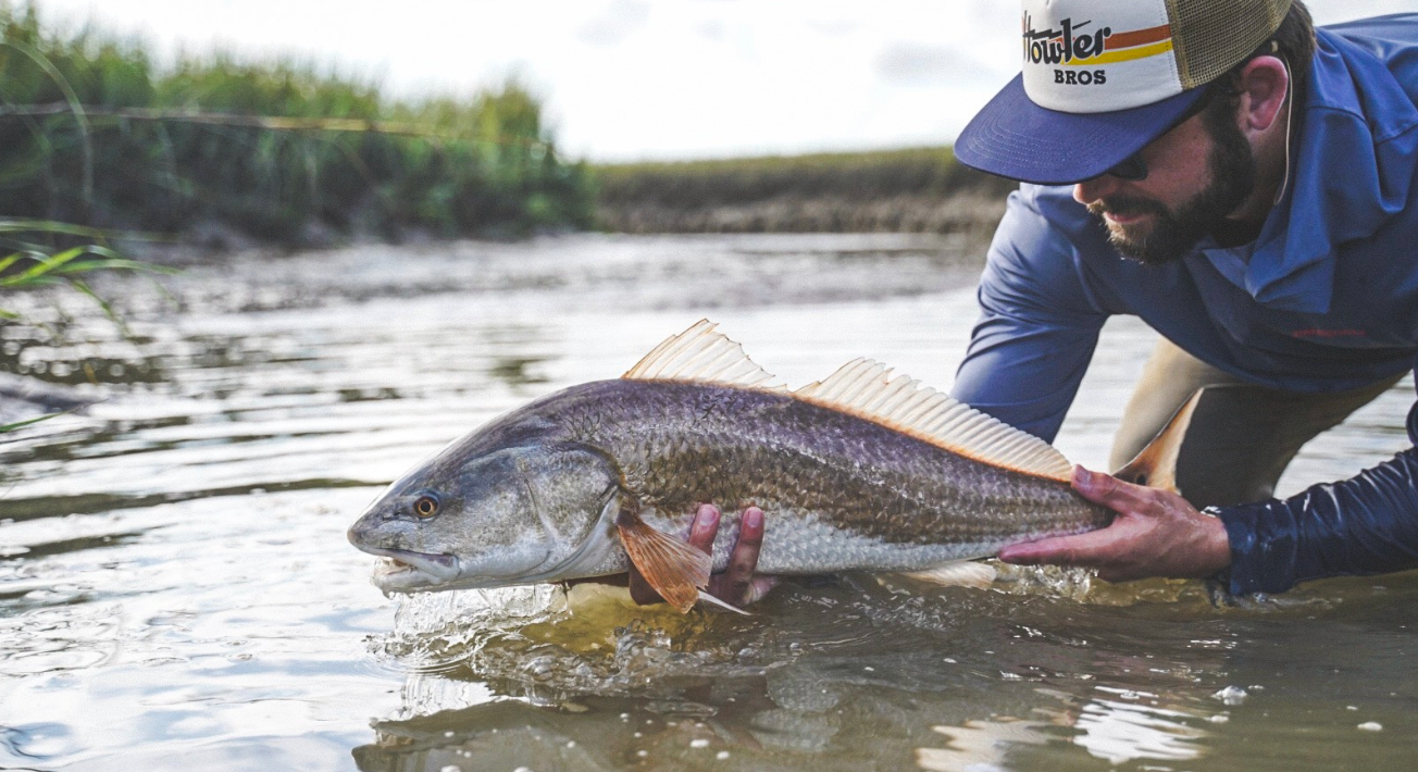 Saltwater Ponds: A Landlocked Paradise